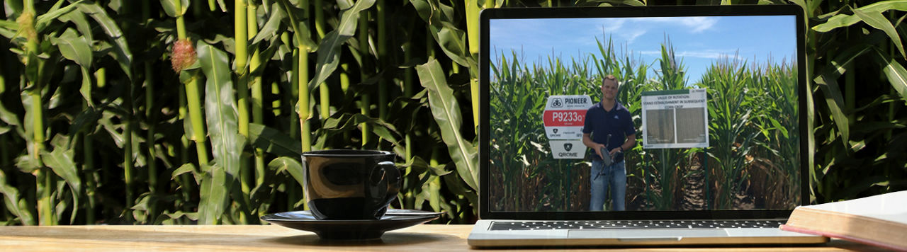 East Virtual Tours
