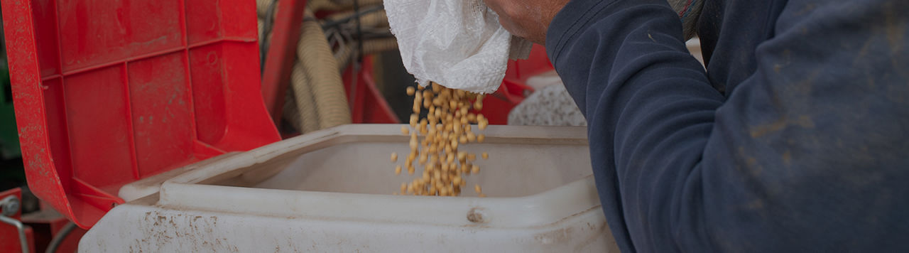 Soybean Products