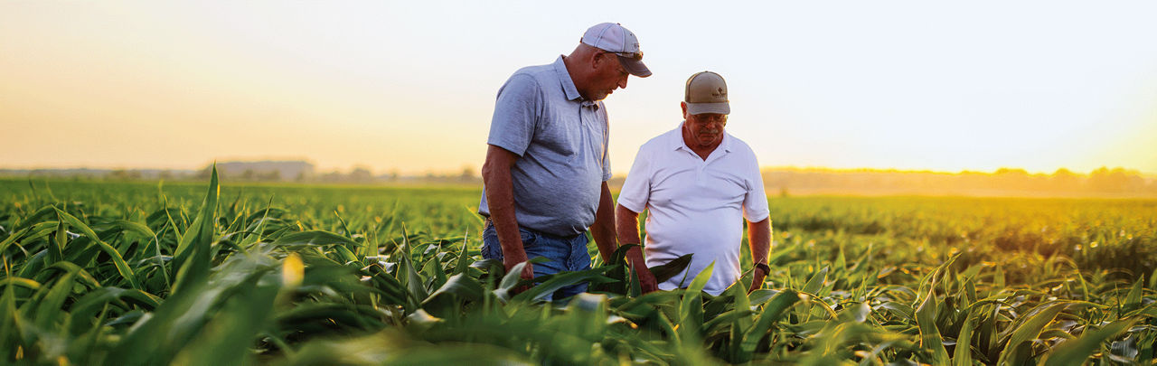 Image of a farmer and sales rep in a corn field