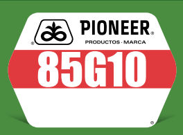 85G10