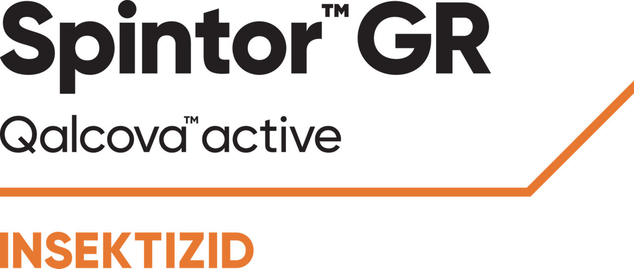 Spintor_Gr_Logo
