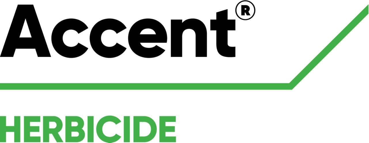 Accent logo
