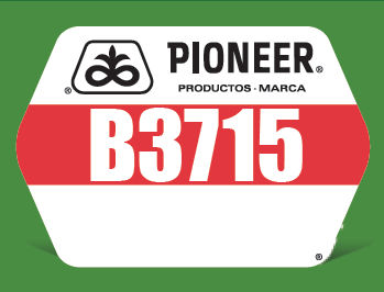 B3715