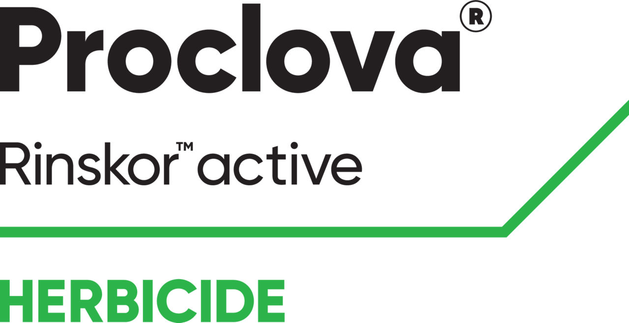 Proclova Logo