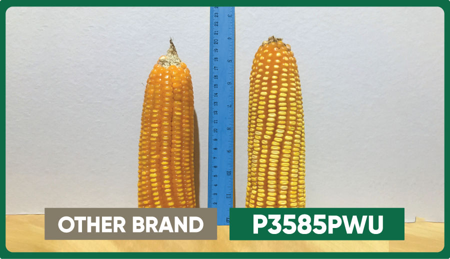 P3585PWU