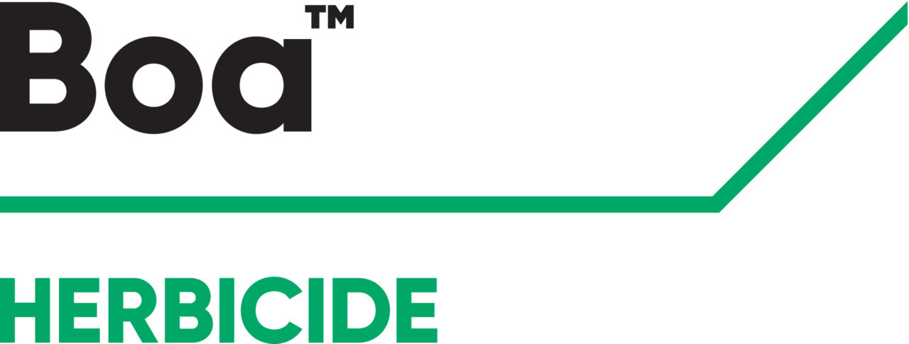 BE_Boa_logo