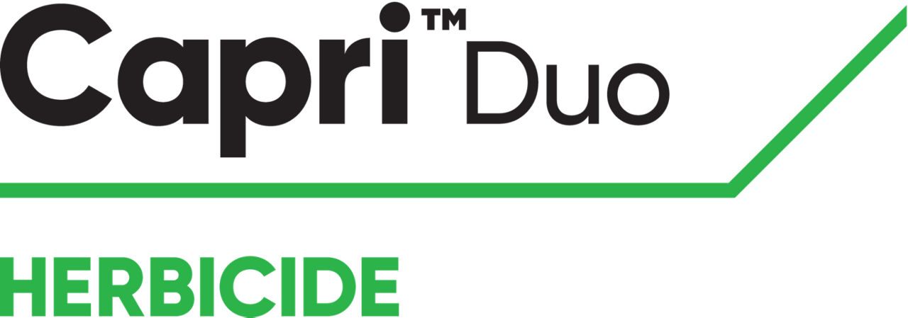 BE_Capri_Duo_logo