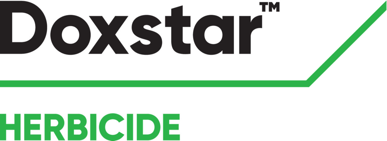 BE_Doxstar_logo