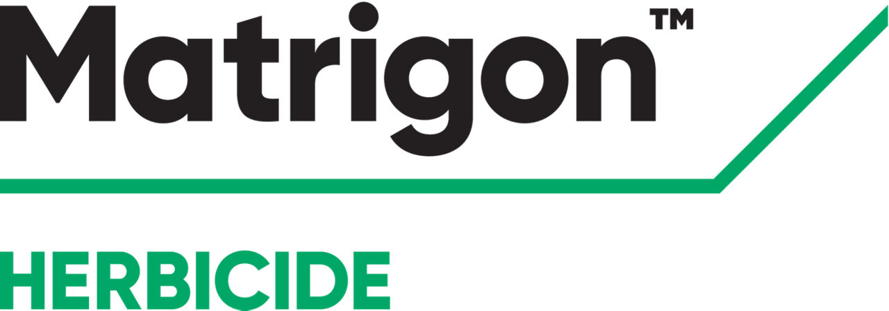 BE_Matrigon_logo