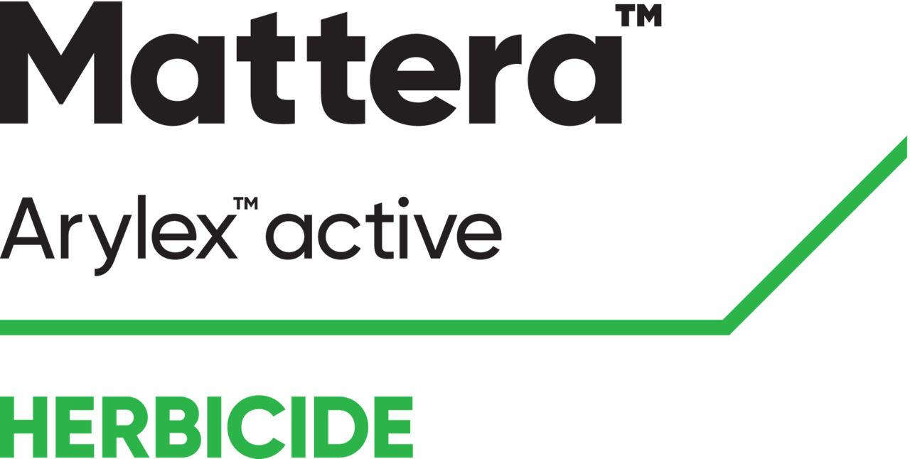 BE_Mattera_logo