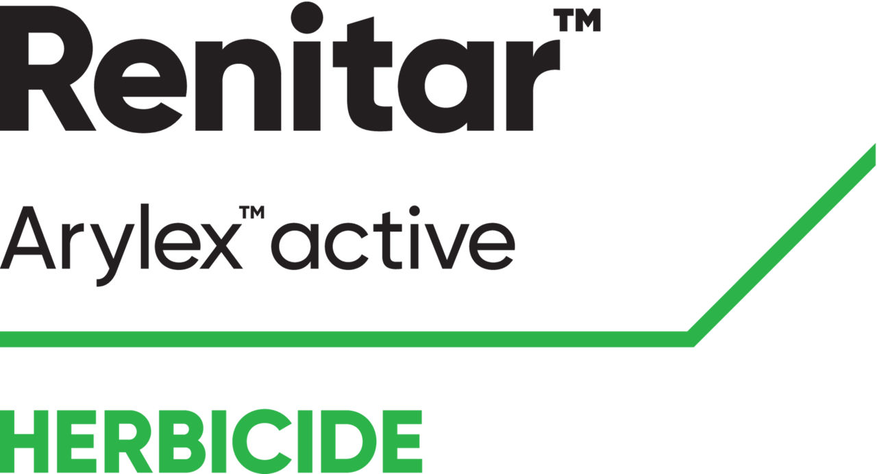 BE_Renitar_logo