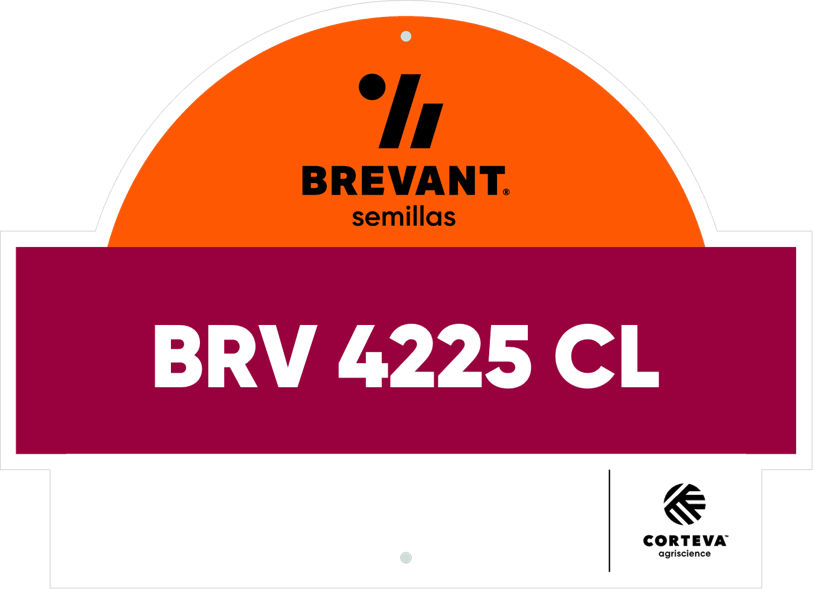 BRV 3633 CP