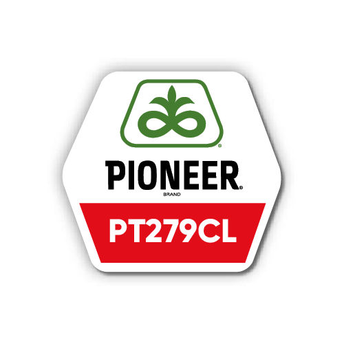 Pioneer WOSR