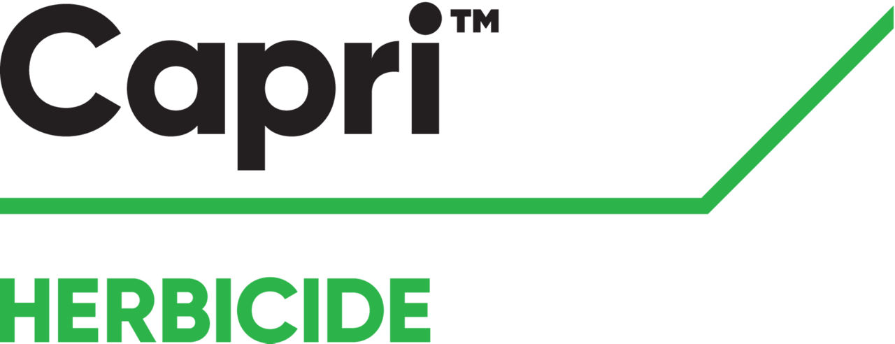 Capri NLD Logo