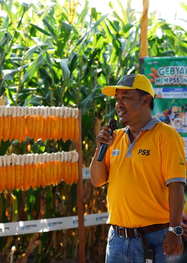 Launching P55 MEMP550NA