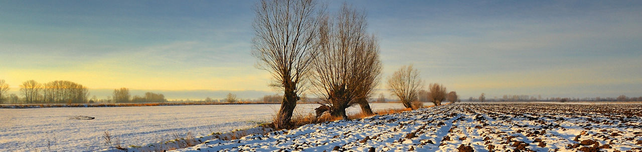 Corteva_Winterveranstaltungen