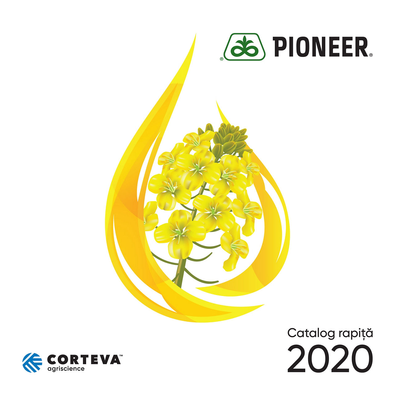 coperta-catalog