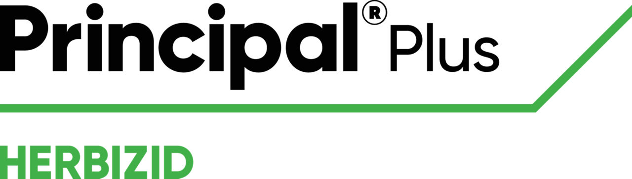 Principal Plus