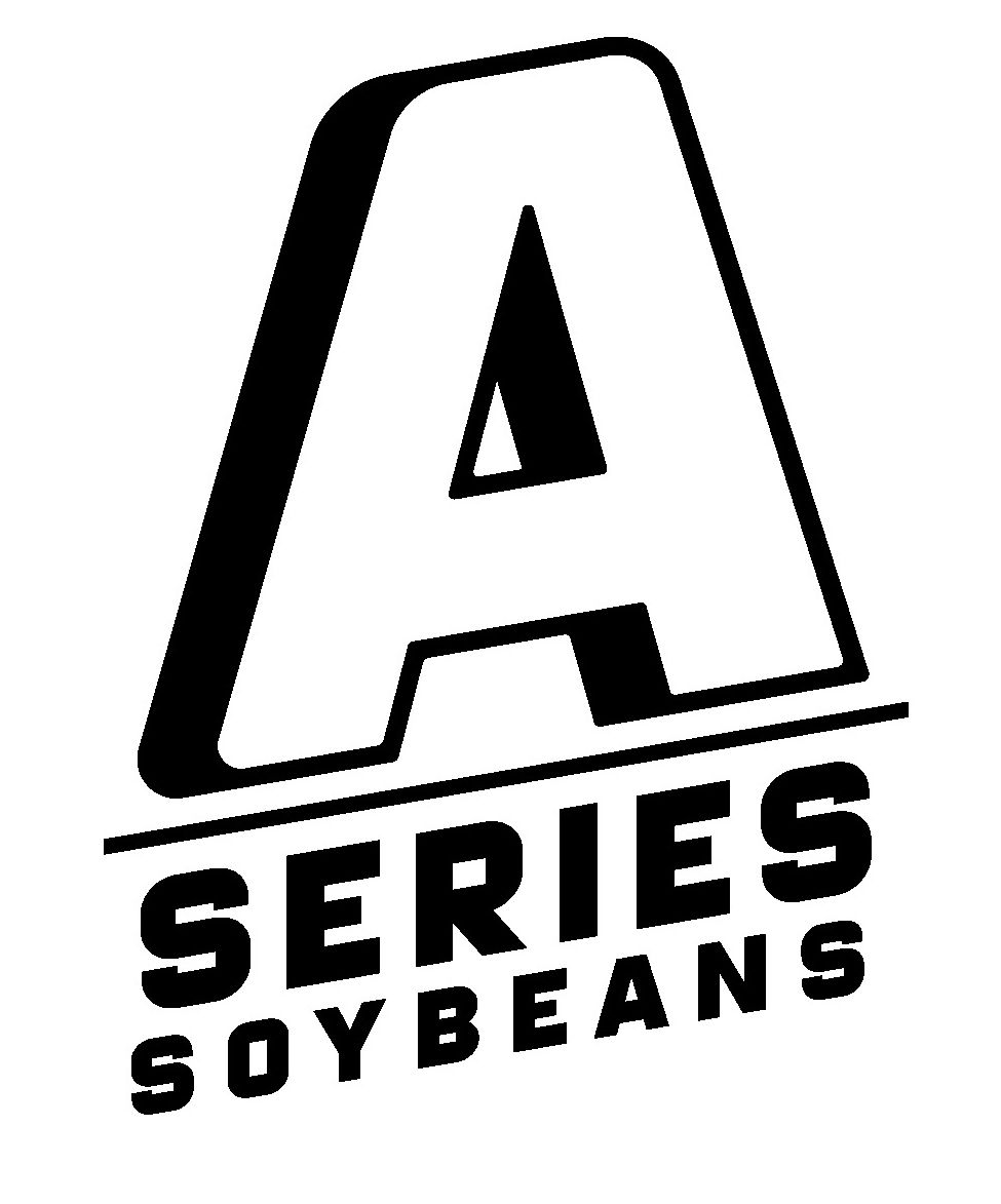 Logo soie Serie A