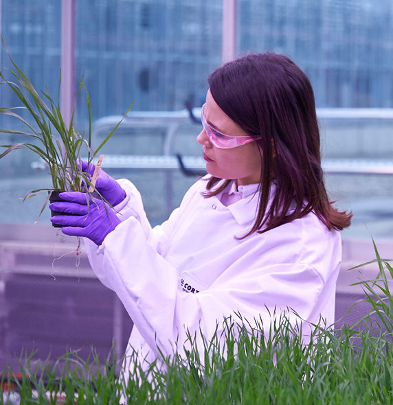 DUP_72203_002A1_Greenhouse_Indy_02088_300ppi_rgb_572x590_new10