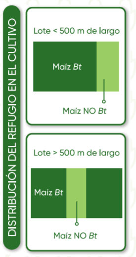 Distribucion del refugio de cultivo