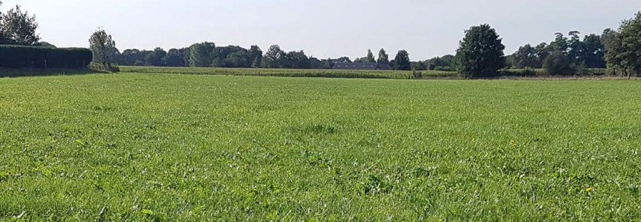 Doxstar prairies