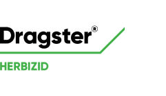 Dragster