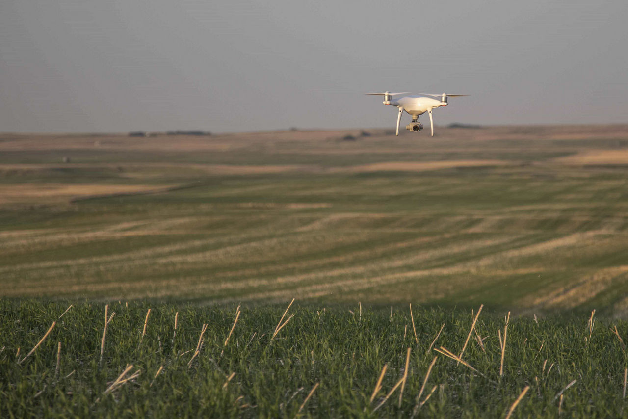 Drone Flying Over Cereal Crop