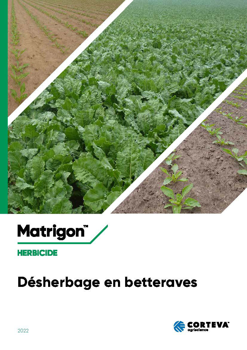 Brochure Désherbage en betteraves 2022