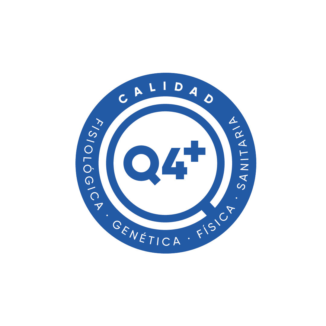 Calidad Corteva