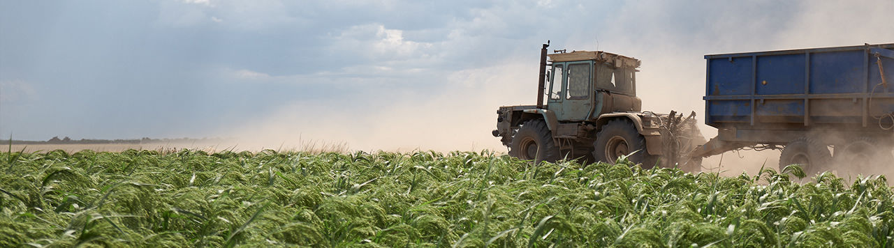 Europe-Tractor_in_Wheat_Field
