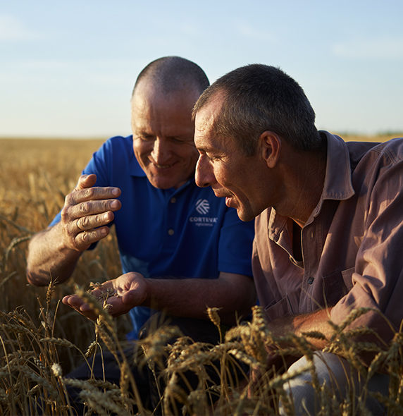 Corteva_Rep_and_Farmer_in_Wheat_Field