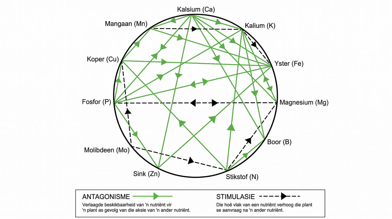 Figure_Image_September_1.png