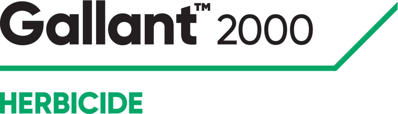 Gallant 2000 NLD Logo