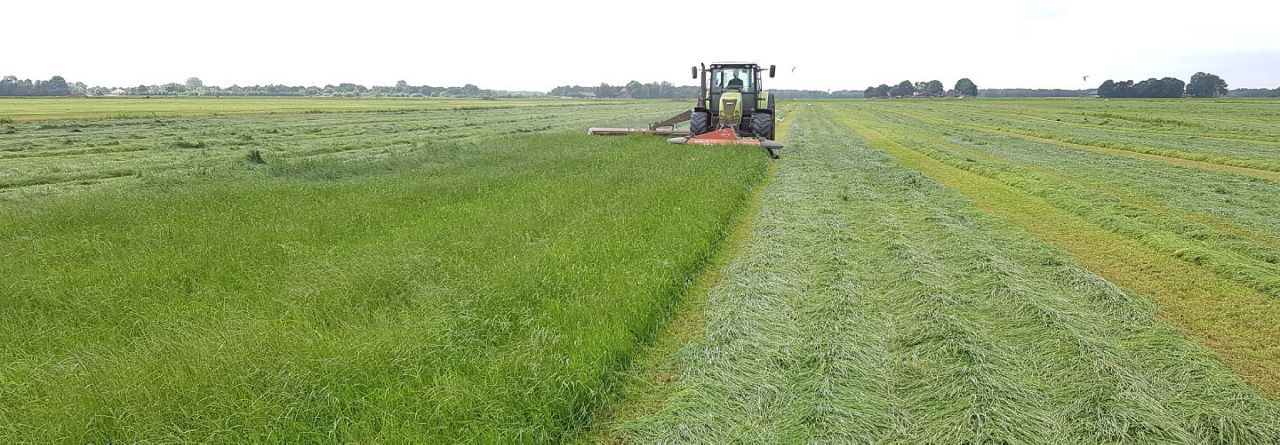 Gras_is_waardevol