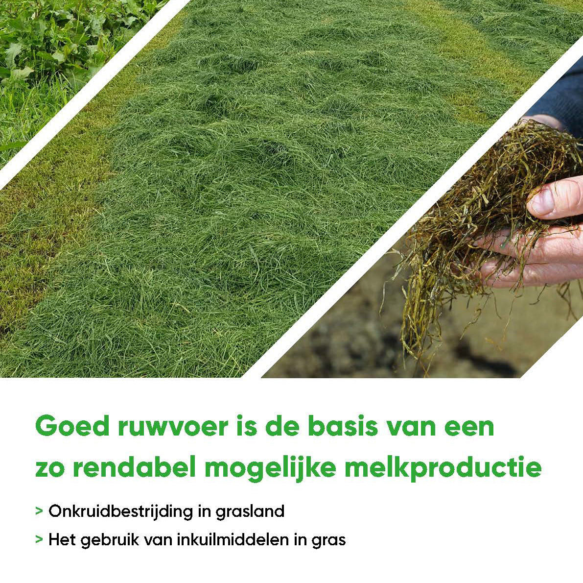Graslandbrochure_MAR_2022_edited