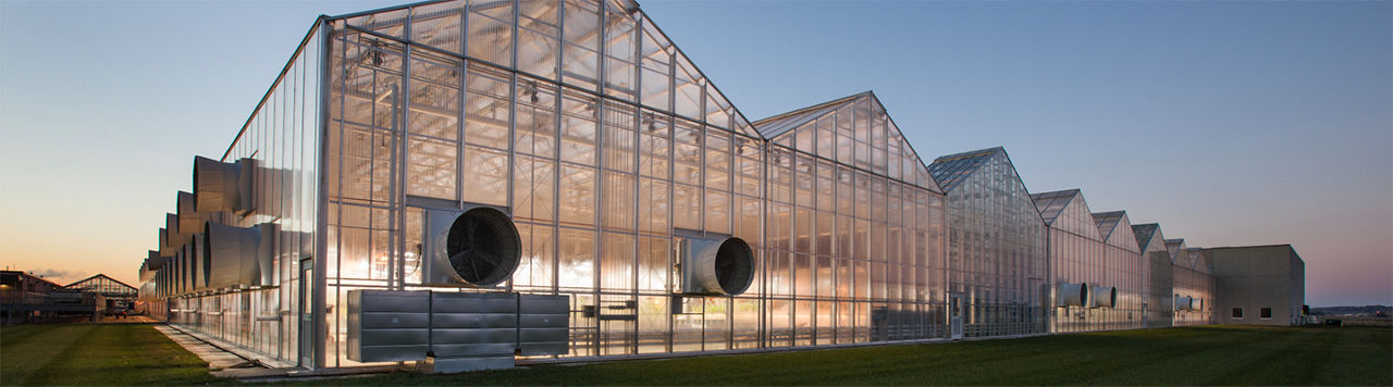 Greenhouse_Operations