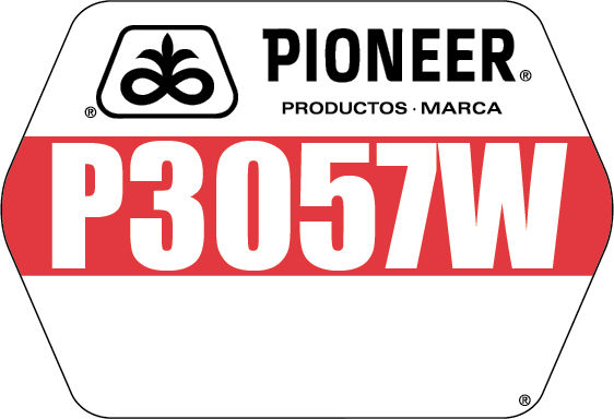 P3057W