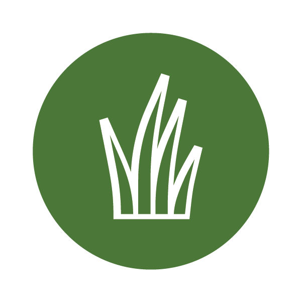 Weeds icon