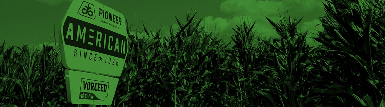 CORN INNOVATION PIPELINE