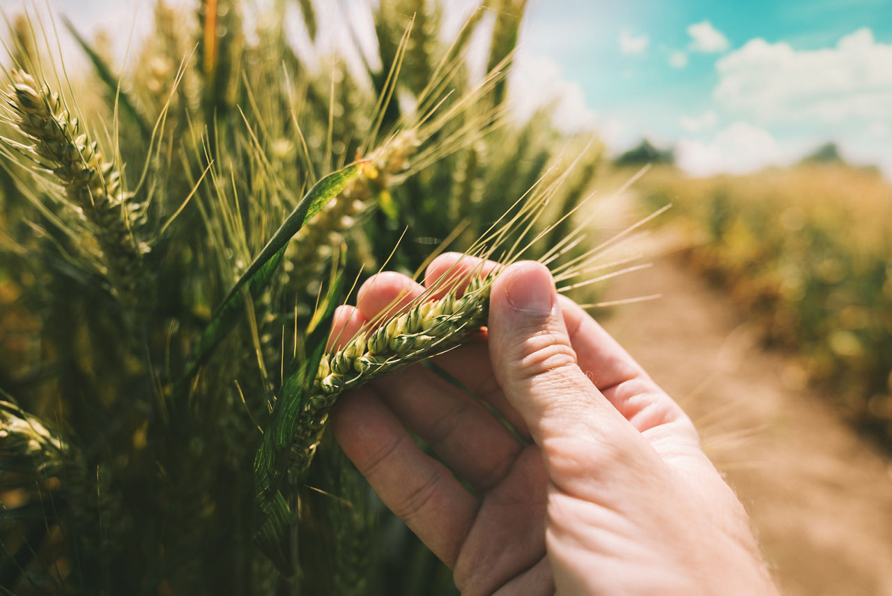 Empowering grower success