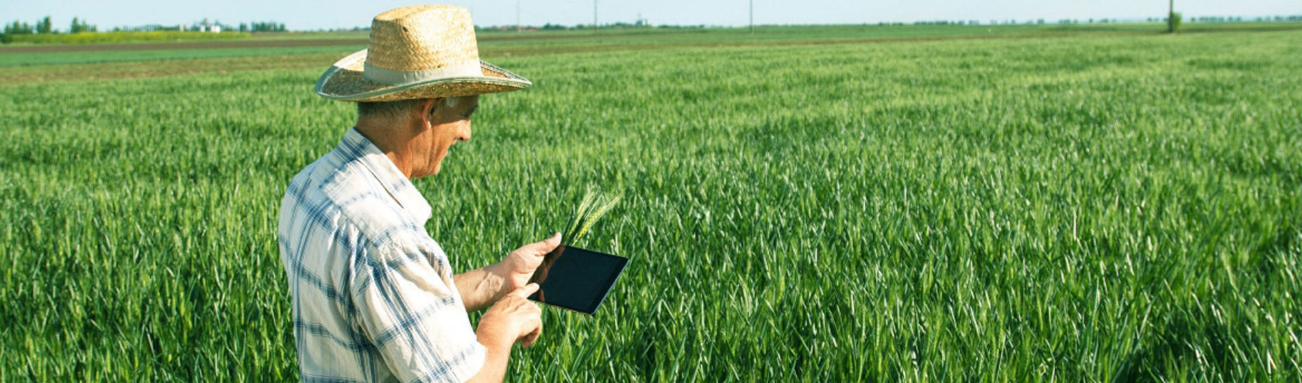 Agricultura Big Data