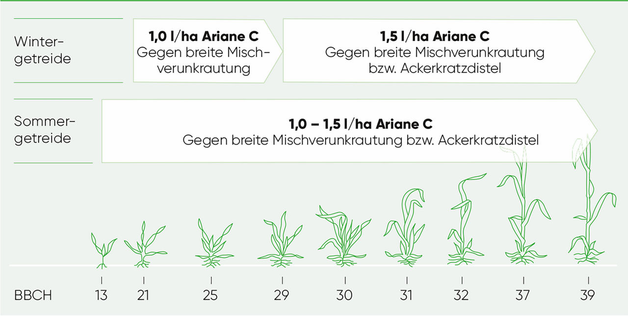 Ariane C Anwedungsempfehlung