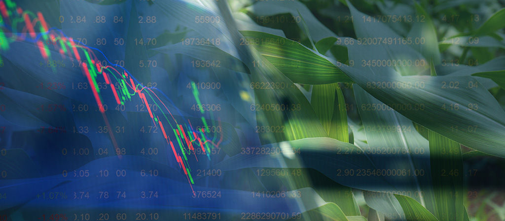 Gráfico de dados financeiros sobreposto a uma imagem de campo de milho, destacando a relação entre tecnologia e agricultura.