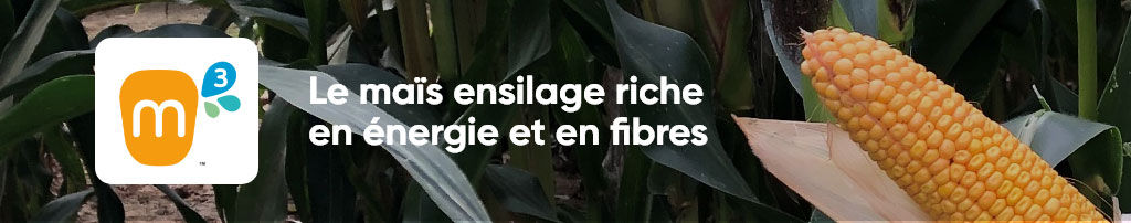 Bannière Marque