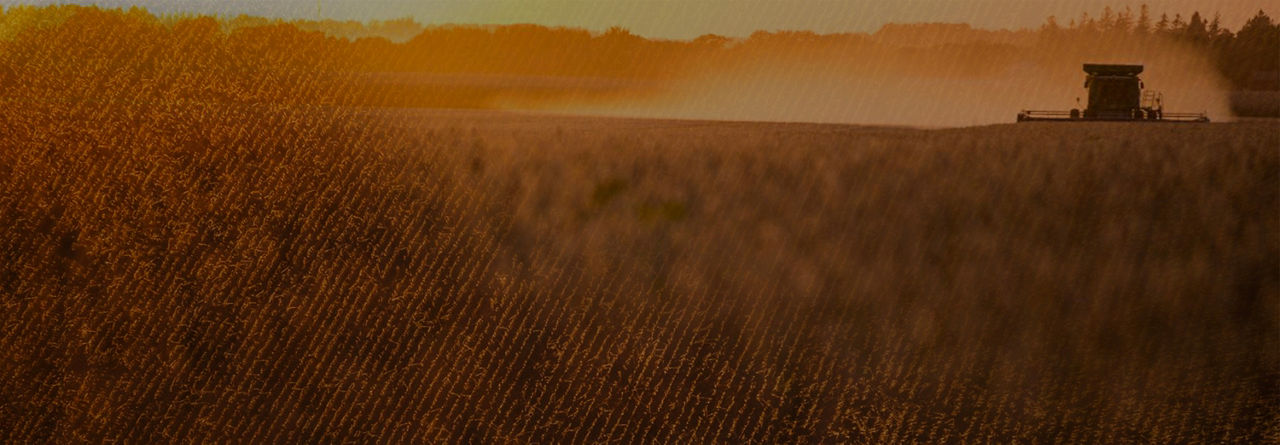 Photo - Rolling Field - Harvest Work - Text on Image