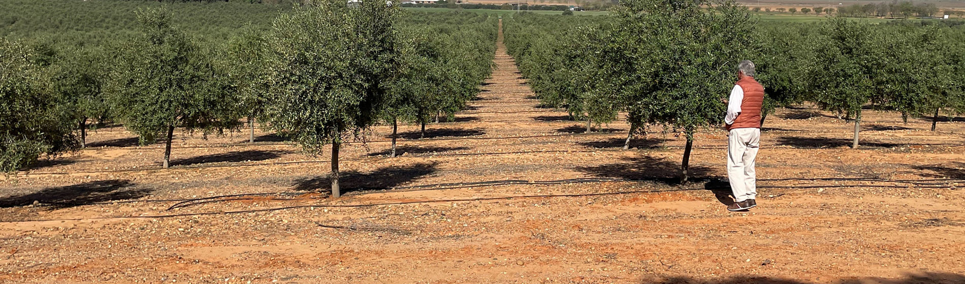 Casos reales: agentes del cambio en la gestión del agua agrícola