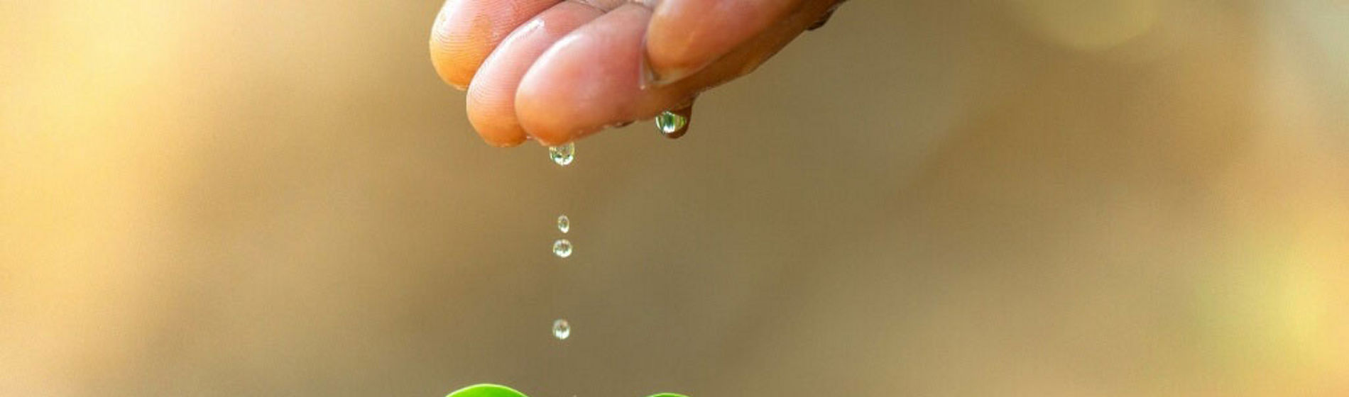 Día Mundial del Medio ambiente