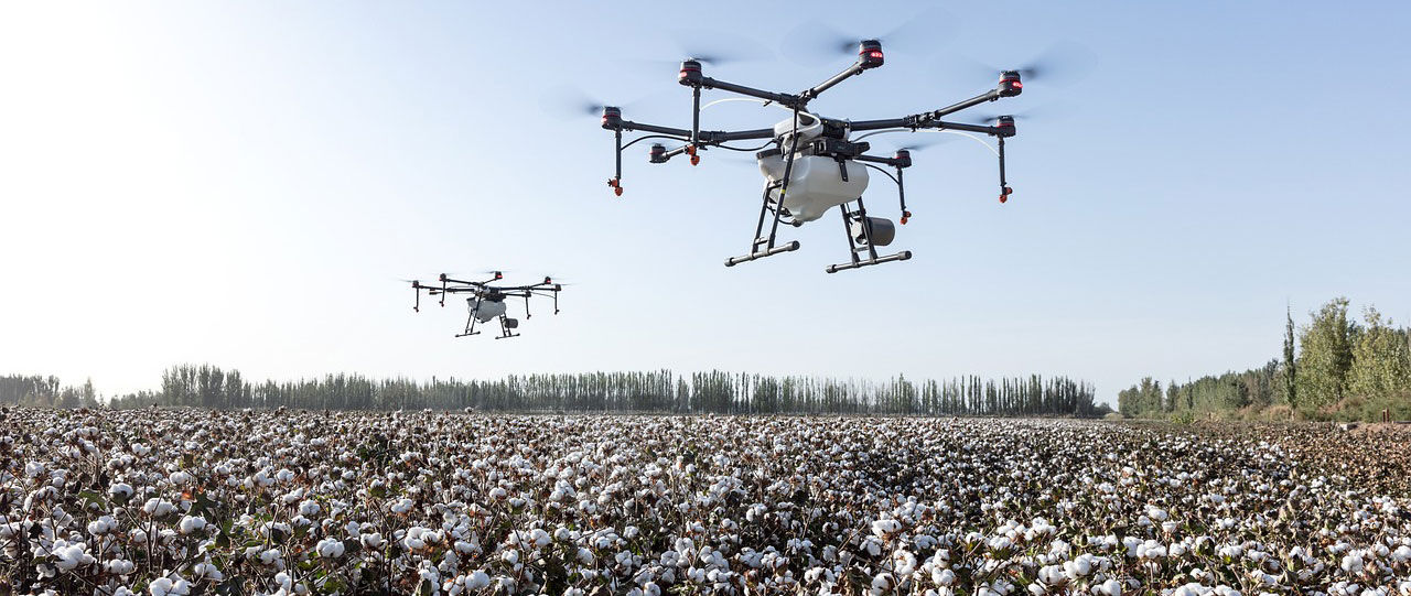 Drones y cultivo de algodón