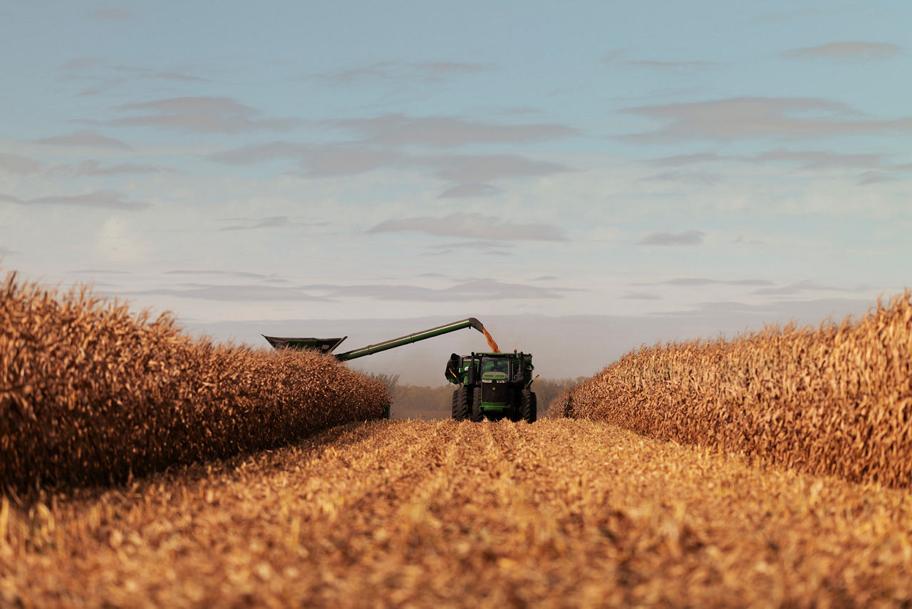 Combine in corn field at harvest